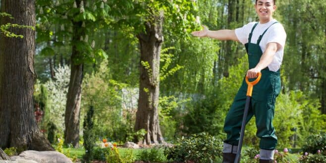 Cette technique surprenante pour sauver les arbres en hiver