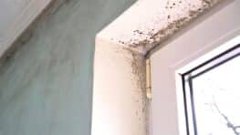 La condensation et les moisissure sur les fenêtres c'est fini avec cette solution ultra-efficace