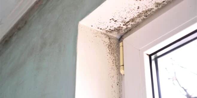 La condensation et les moisissure sur les fenêtres c'est fini avec cette solution ultra-efficace