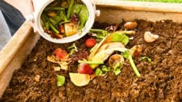 Ne mettez plus les feuilles mortes de votre jardin au compost en automne et voici pourquoi