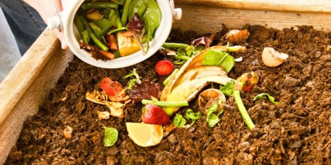 Ne mettez plus les feuilles mortes de votre jardin au compost en automne et voici pourquoi