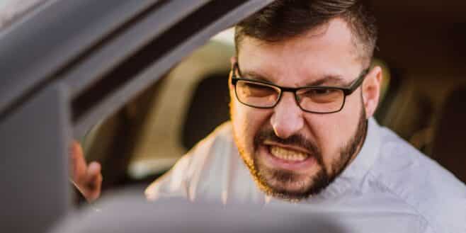 Permis de conduire : l'astuce inhumaine de certains pour ne pas perdre de points