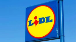 Top 12 produits Lidl que les habitués ignorent encore (et qui partent en 24h)