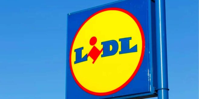 Top 12 produits Lidl que les habitués ignorent encore (et qui partent en 24h)