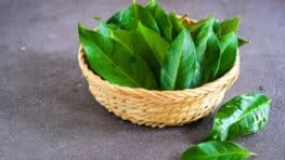 Utilisez la méthode de la feuille de laurier dans les placards pour repousser les mites alimentaires