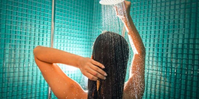 Cet accessoire Lidl génial pour transformer les vieilles douches : moderne, facile à installer et ultra-économique