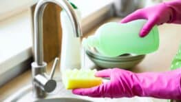 Cette alternative aux éponges évite les nids à bactéries pendant la vaisselle