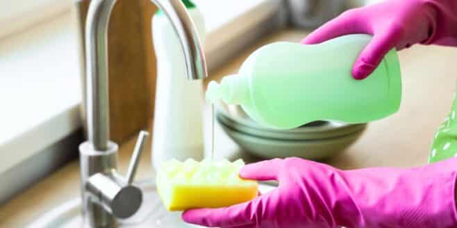 Cette alternative aux éponges évite les nids à bactéries pendant la vaisselle
