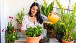 Cette astuce magique des Japonais pour rendre vos plantes plus belles que jamais