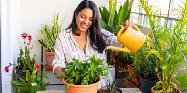 Cette astuce magique des Japonais pour rendre vos plantes plus belles que jamais