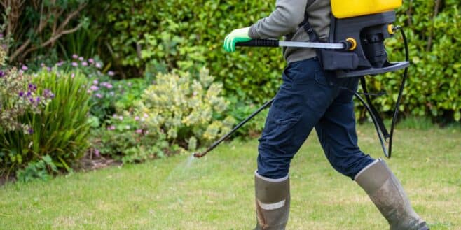 Cette solution de cuisine saine pour la planète remplace le désherbant