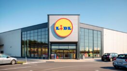 LIDL cartonne son mixeur pour toutes vos préparations du quotidien