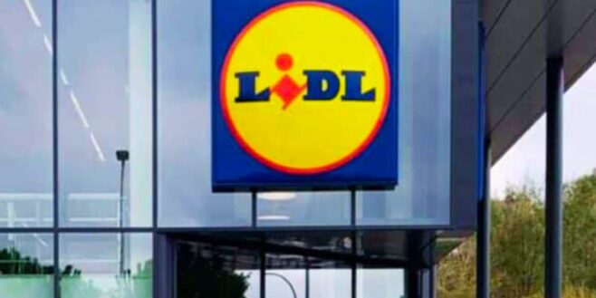 LIDL met en vente un appareil de cuisine à moins de 30 euros qui fait le buzz