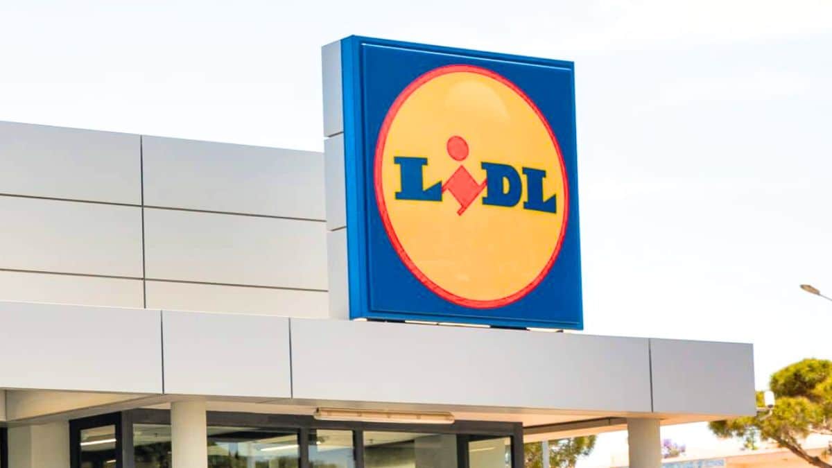 LIDL sort l'aspirateur 3 en 1 qui aspire, lave et sèche à tout petit prix