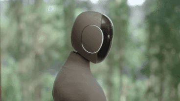 Le premier robot domestique a été lancé sur le marché, la réaction sans équivoque des internautes