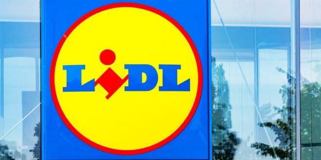 Lidl dévoile un aspirateur sans fil à petit prix qui affole les clients