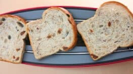 Lidl dévoile un grille-pain design à 21,99 € qui devient viral