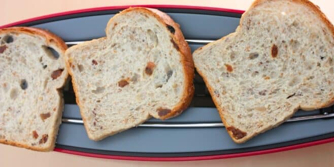 Lidl dévoile un grille-pain design à 21,99 € qui devient viral