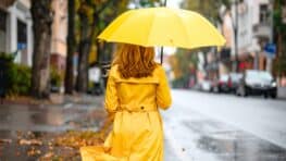 Météo : ces 5 départements détiennent le record de pluie en France