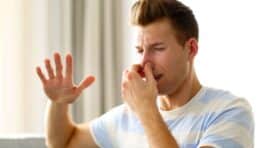 Purification de l'air : et si ces plantes d'intérieur empoisonnaient votre logement ?