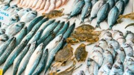 Rappel urgent de ces produits de la mer vendus chez Leclerc qui donnent la gastro