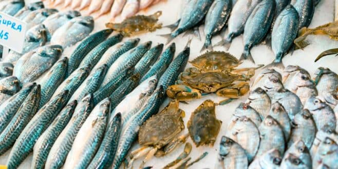 Rappel urgent de ces produits de la mer vendus chez Leclerc qui donnent la gastro