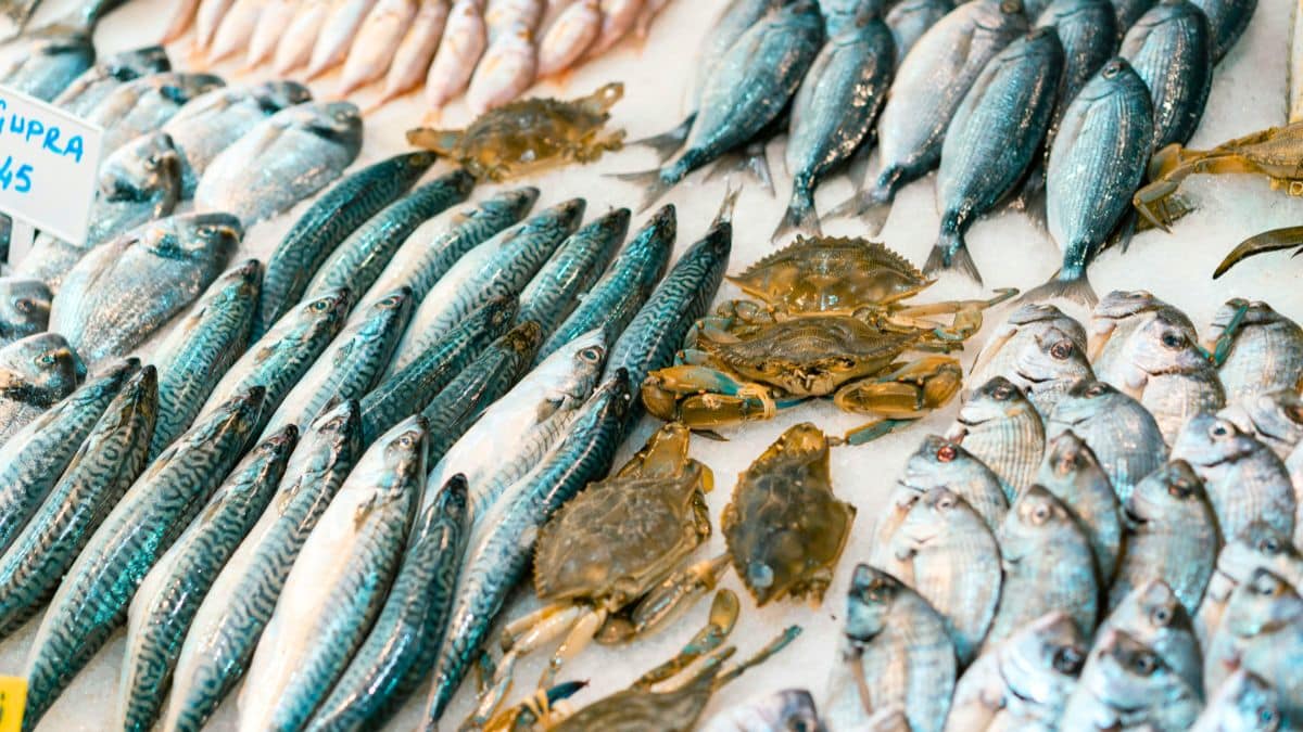 Rappel urgent de ces produits de la mer vendus chez Leclerc qui donnent la gastro