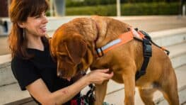 Un supermarché refuse l'entrée à une cliente à cause de son chien d’assistance