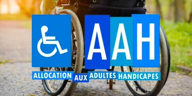 AAH, RSA : 1 016 € et 636 € en 2024, les chiffres clés des minima sociaux de la Caf