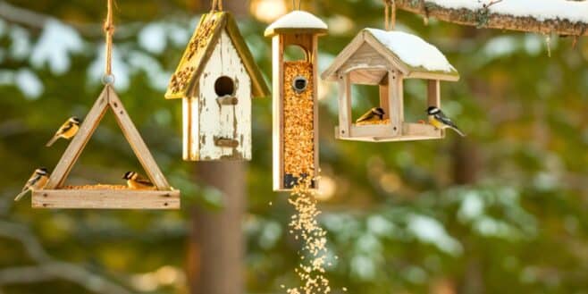 Ce geste permet de transformer votre jardin en refuge pour les oiseaux cet hiver