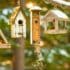 Ce geste permet de transformer votre jardin en refuge pour les oiseaux cet hiver