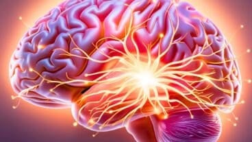 Découvrez le premier ordinateur vivant avec des neurones humains
