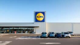 LIDL : vous allez vous arracher cet accessoire ménager avant sa rupture de stock