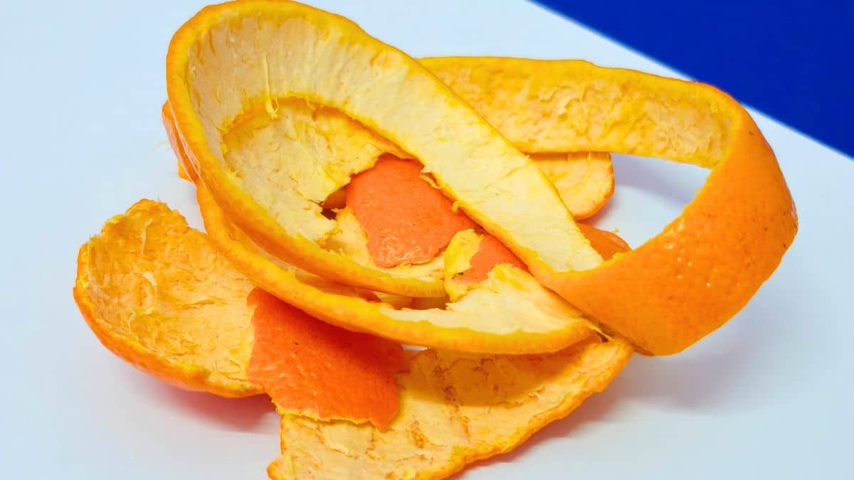 Vous n'imaginez pas une seule seconde ce que vous pouvez faire avec des écorces d'agrumes