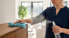 Tuxboard.com - Poussière : la méthode pro avec 2 ingrédients que vous avez déjà chez vous pour dépoussiérer mieux et plus vite