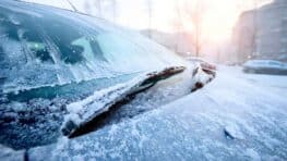 Action: l’accessoire à moins de 2 € qui empêche le pare-brise de geler le matin cet hiver
