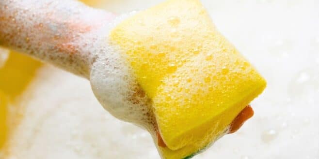 Éponge vaisselle: la meilleure selon les experts pour dégraisser vite et ne pas rayer