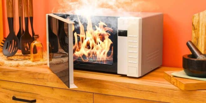 Four micro-ondes : si vous mettez ces objets à l'intérieur vous mettez votre vie en danger