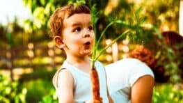 Lidl : à 0,29 €, ces sachets suffisent pour lancer un potager familial