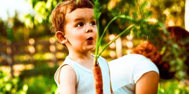 Lidl : à 0,29 €, ces sachets suffisent pour lancer un potager familial