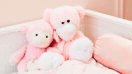 Noz lance un rappel urgent de plusieurs peluches dangereuses vendues depuis plus d'un an