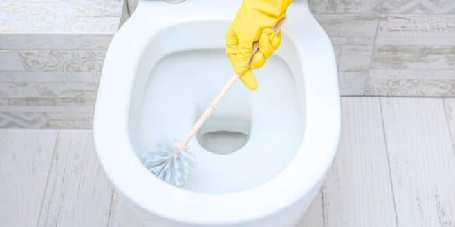 WC jaunis : la recette magique contre le calcaire avec 3 ingrédients et 1 produit Action