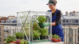 Tuxboard - Aldi : cet équipement de jardinage à moins de 35 € booste vos récoltes d'été même sans jardin