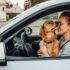 Tuxboard - Automobiliste verbalisé pour avoir câliné son chien au volant : ce que dit la loi en 2026