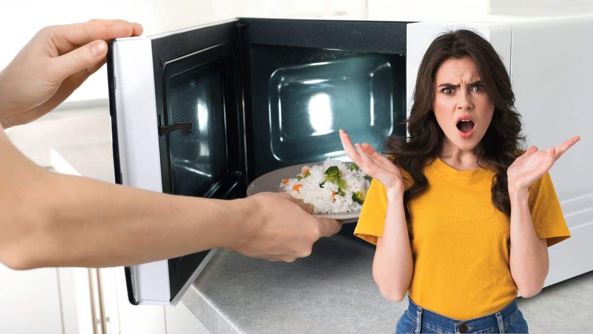 TUXBOARD 🔵 Le micro-ondes est démodé, voici les nouvelles méthodes pour réchauffer vos plats en 2026
