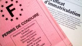 Permis rose : la date limite pour le remplacer approche, sinon il ne sera plus valide