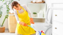 Toilettes entartrées : ce liquide utilisé par les pros fonctionne, mais à une seule condition