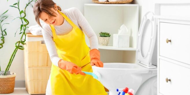 Toilettes entartrées : ce liquide utilisé par les pros fonctionne, mais à une seule condition