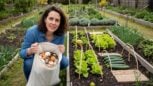 Tuxboard - Limaces et escargots : 6 astuces naturelles pour protéger vos semis de printemps sans produits chimiques