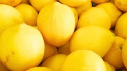 Citrons congelés : voici pourquoi cette astuce séduit des millions de Français et comment elle booste votre santé